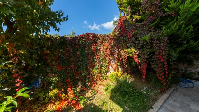 WNG3668 fotoğraf 17