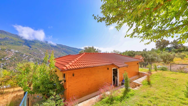 WNG8619 fotoğraf 11
