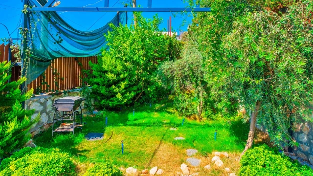 WNG5565 fotoğraf 42