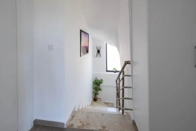 WNG6268 fotoğraf 18