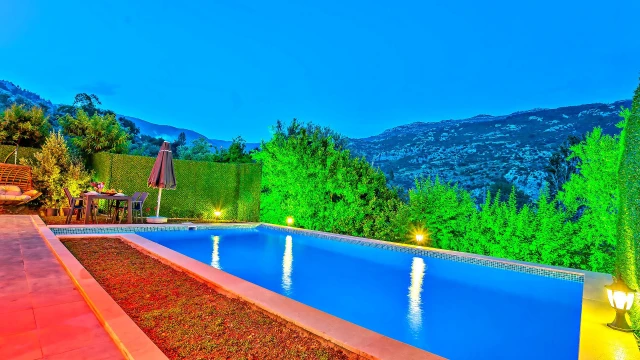 BVK8202 fotoğraf 6