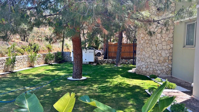 WNG4391 fotoğraf 17