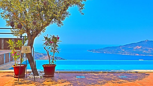 WNG7485 fotoğraf 11