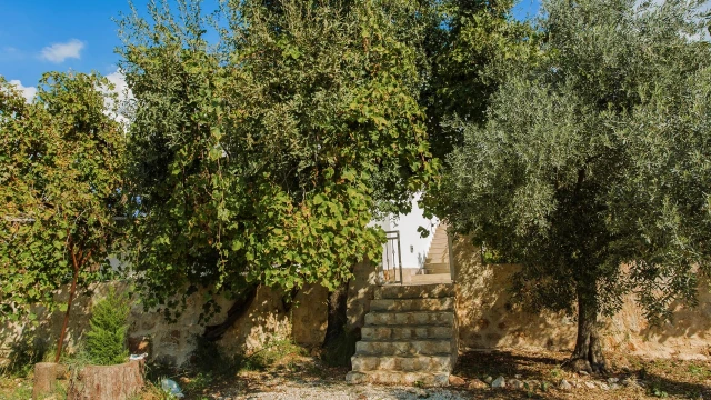 WNG4085 fotoğraf 32