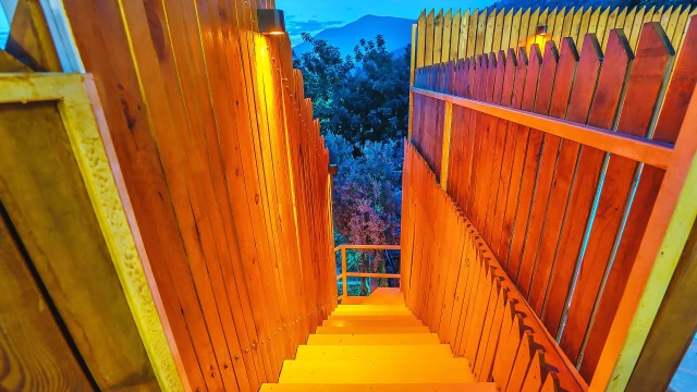 WNG2832 fotoğraf 15