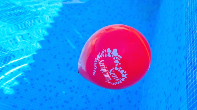 WNG1082 fotoğraf 28