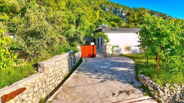 WNG7287 fotoğraf 58