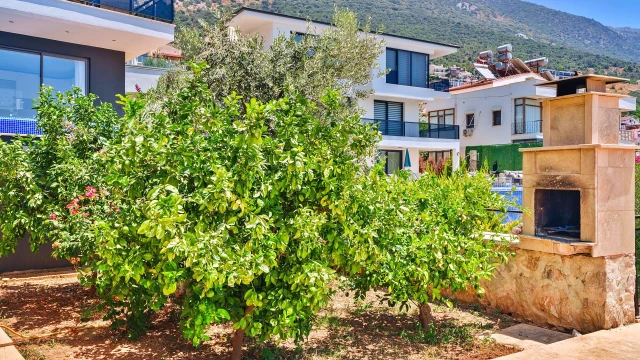 WNG3686 fotoğraf 12