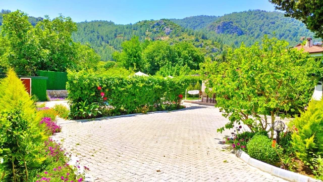 WNG5367 fotoğraf 21