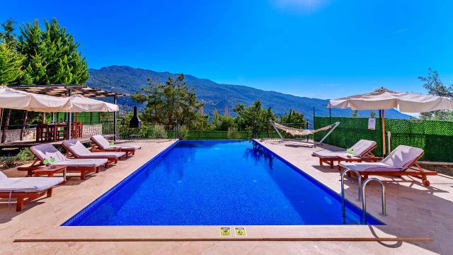 BVK8483 fotoğraf 4