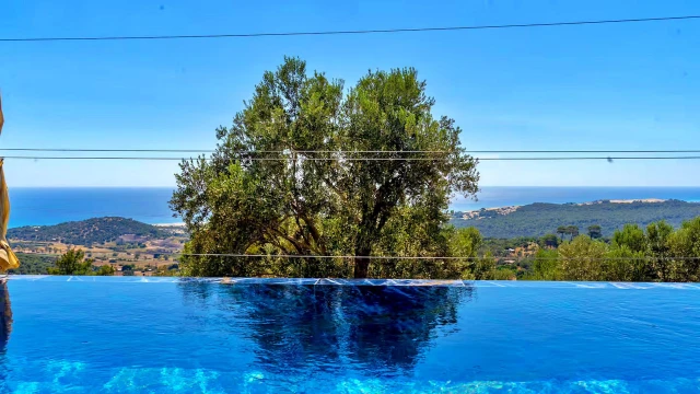 WNG1426 fotoğraf 19
