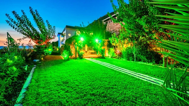 WNG9938 fotoğraf 9