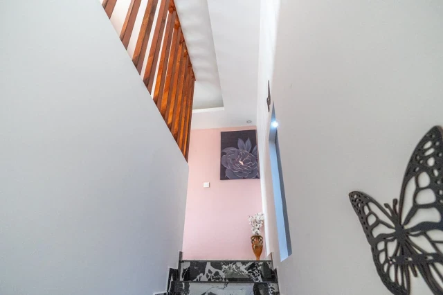 WNG4237 fotoğraf 20