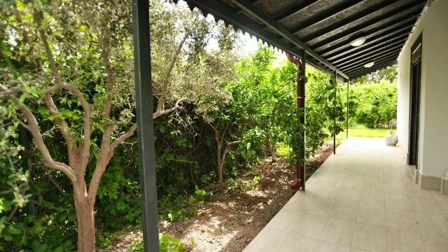 VKV3832 fotoğraf 2