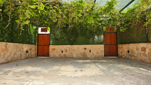 WNG3832 fotoğraf 46