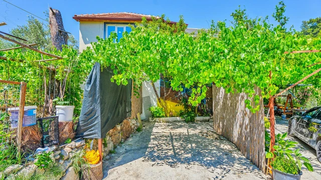 WNG4445 fotoğraf 34