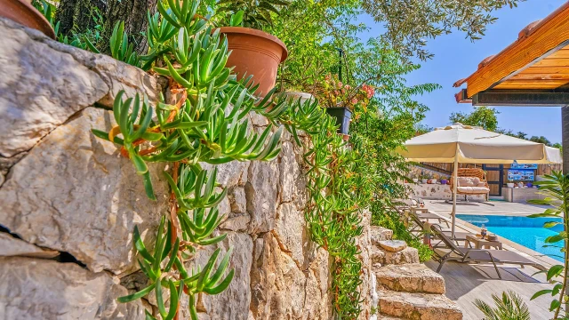 WNG9339 fotoğraf 49