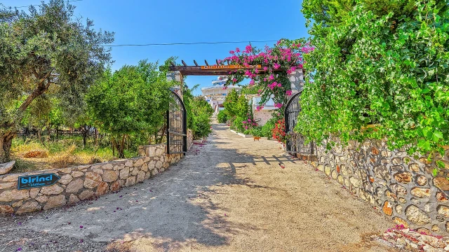 WNG2329 fotoğraf 37