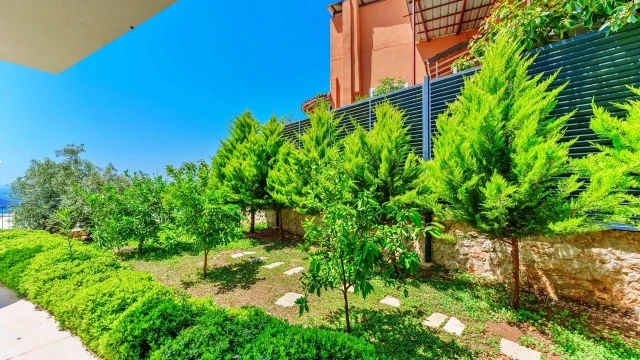 WNG2957 fotoğraf 20
