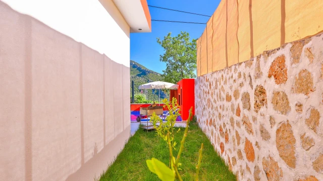 WNG8206 fotoğraf 22