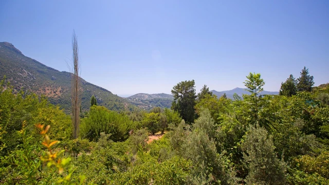 WNG1044 fotoğraf 61