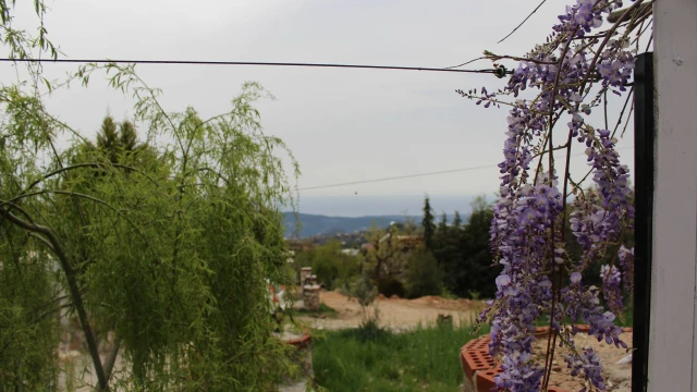 WNG7663 fotoğraf 37