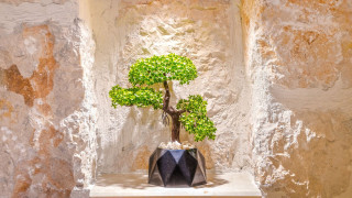 VKV5902 Villa Kalkan