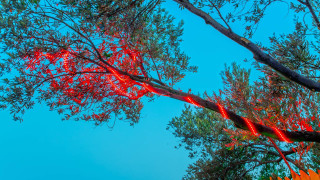 VKV3520 Villa Kalkan