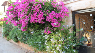 VKV8594 Villa Kalkan