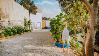 VKV1582 Villa Kalkan