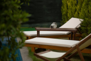 VKV3591 Villa Kalkan