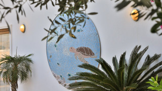 VKV8683 Villa Kalkan
