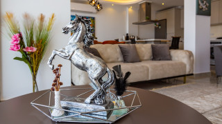 BVK1267 Balayı Villası