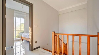 WNG9055 Wings