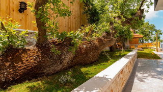 VKV1652 Villa Kalkan