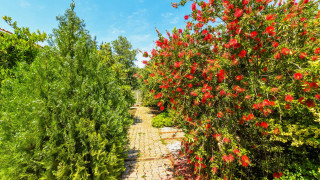VKV4353 Villa Kalkan