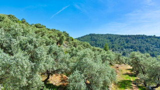 VKV8295 Villa Kalkan